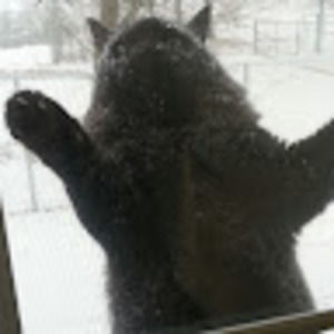 Meet your Posher, Bob